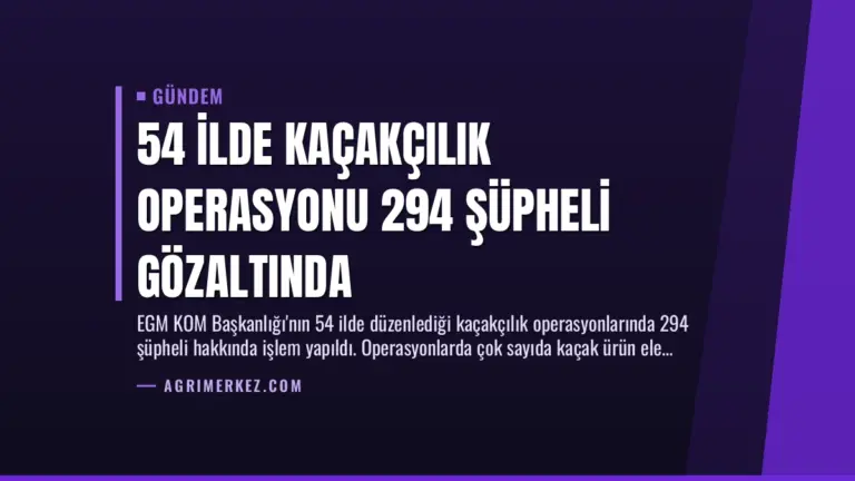 54 İlde Kaçakçılık Operasyonu 294 Şüpheli Gözaltında