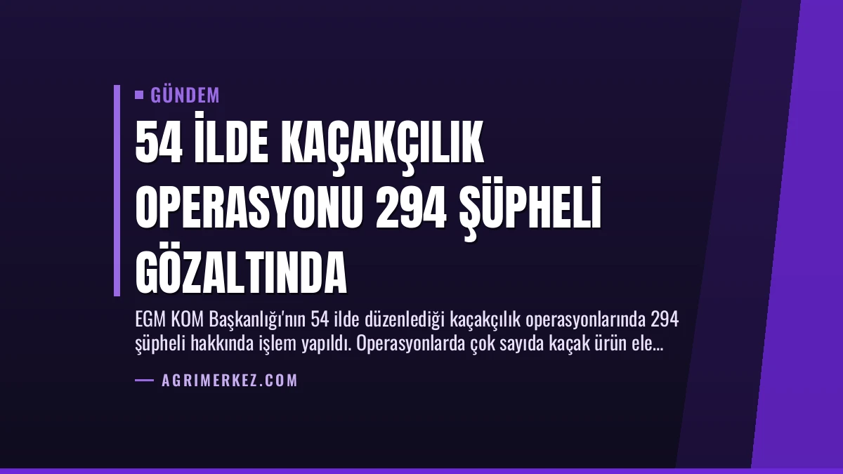 54 İlde Kaçakçılık Operasyonu 294 Şüpheli Gözaltında