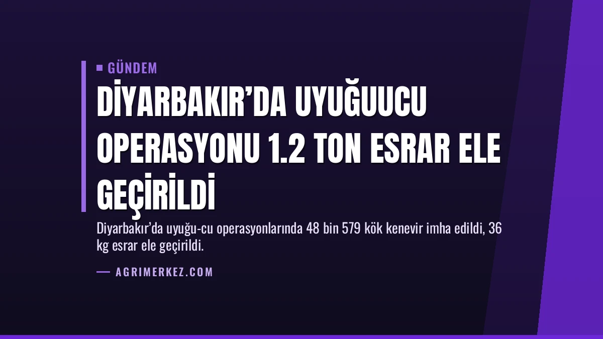 Diyarbakır’da Uyuğuucu Operasyonu 1.2 Ton Esrar Ele Geçirildi