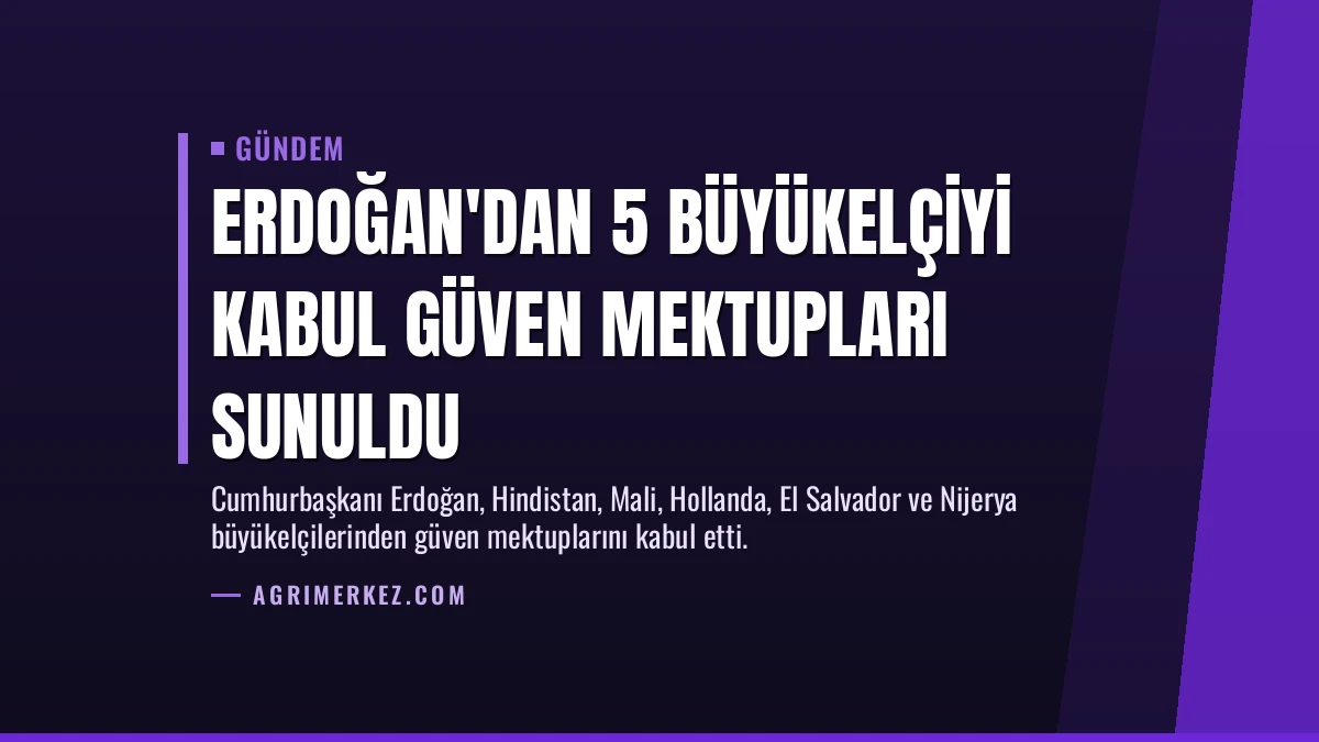 Erdoğan’dan 5 Büyükelçiyi Kabul Güven Mektupları Sunuldu