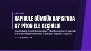 Kapıkule Gümrük Kapısı’nda 67 Piton Ele Geçirildi