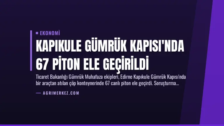 Kapıkule Gümrük Kapısı’nda 67 Piton Ele Geçirildi