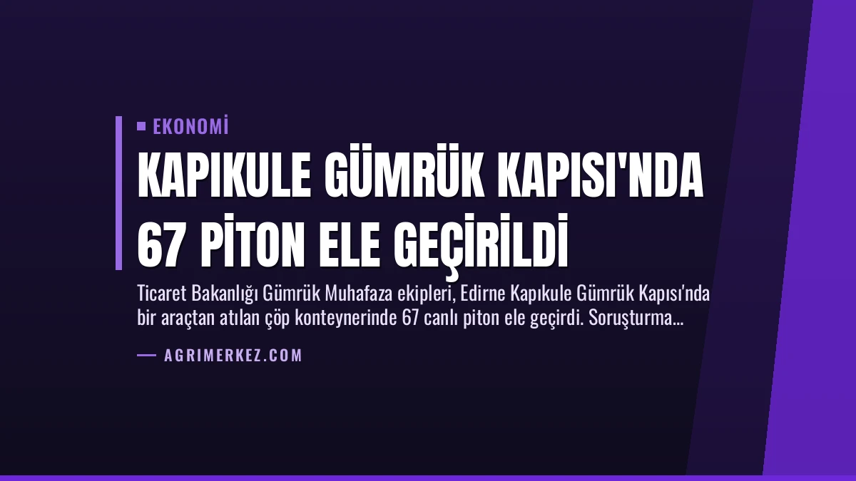 Kapıkule Gümrük Kapısı’nda 67 Piton Ele Geçirildi