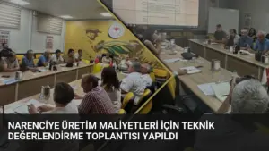 Narenciye Üretim Maliyetleri İçin Teknik Değerlendirme Toplantısı Yapıldı