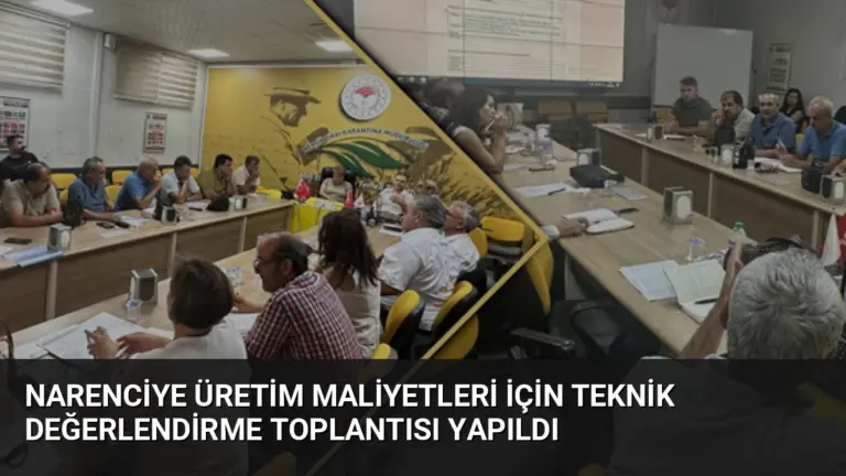 Narenciye Üretim Maliyetleri İçin Teknik Değerlendirme Toplantısı Yapıldı