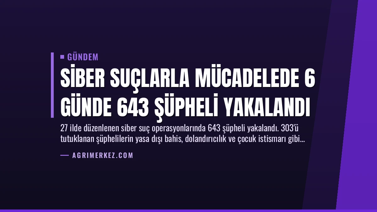 Siber Suçlarla Mücadelede 6 Günde 643 Şüpheli Yakalandı