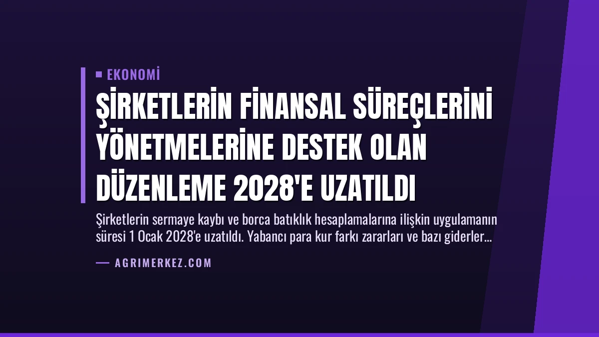 Şirketlerin Finansal Süreçlerini Yönetmelerine Destek Olan Düzenleme 2028’e Uzatıldı