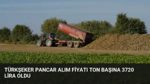 TÜRKŞEKER Pancar Alım Fiyatı Ton Başına 3720 Lira Oldu
