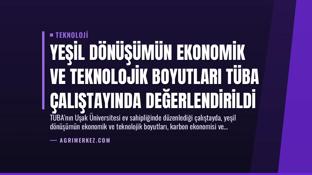 Yeşil Dönüşümün Ekonomik ve Teknolojik Boyutları TÜBA Çalıştayında Değerlendirildi